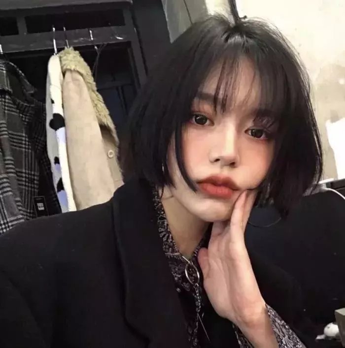 笨金鱼